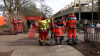 Großaufgebot an Rettungskräften- Auslöser unbekannt - niemand musste in ein Krankenhaus gebracht werden - Rettungskräfte agierten schnell: 