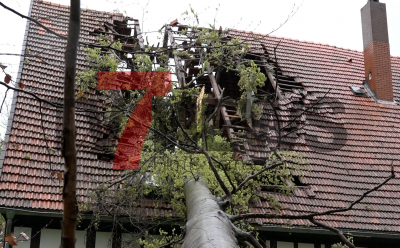 Lauter Knall erschreckt Bewohner eines Fachwerkhauses - Feuerwehr wird nicht tätig - Baum steckt noch in Dach: 