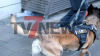 Rauschgiftspürhund im Einsatz - vermummte Beamte durchsuchen Geschäftsräume - Polizei erhielt Hinweise aus der Bevölkerung - Durchsuchungsmaßnahmen stehen im Zusammenhang mit Verstößen gegen das Betäubungsmittelgesetz: 