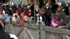 Bestes Wetter für Volksfest - Besucher genießen schönes Wetter - Bierkrüge werden zuhauf angestoßen: 