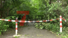Tornado richtet schwere Schäden in Hagen an - zahlreiche Einsätze für die Einsatzkräfte - Dächer und Bäume halten nicht stand - bislang keine Verletzten : 