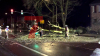 Baum kracht auf Auto und in Vorgarten eines Wohnhauses - weiterer Baum blockiert Hauptstraße vollständig - Deutscher Wetterdienst warnt vor Sturmböen mit bis zu 95 km/h - Feuerwehr warnt davor, Wälder zu meiden - Feuerwehr sägt umgestürzten Baum mit Kettensäge auseinander - glücklicherweise wurde niemand verletzt: 