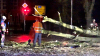 Baum kracht auf Auto und in Vorgarten eines Wohnhauses - weiterer Baum blockiert Hauptstraße vollständig - Deutscher Wetterdienst warnt vor Sturmböen mit bis zu 95 km/h - Feuerwehr warnt davor, Wälder zu meiden - Feuerwehr sägt umgestürzten Baum mit Kettensäge auseinander - glücklicherweise wurde niemand verletzt: 
