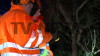 Baum kracht auf Auto und in Vorgarten eines Wohnhauses - weiterer Baum blockiert Hauptstraße vollständig - Deutscher Wetterdienst warnt vor Sturmböen mit bis zu 95 km/h - Feuerwehr warnt davor, Wälder zu meiden - Feuerwehr sägt umgestürzten Baum mit Kettensäge auseinander - glücklicherweise wurde niemand verletzt: 