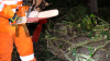 Baum kracht auf Auto und in Vorgarten eines Wohnhauses - weiterer Baum blockiert Hauptstraße vollständig - Deutscher Wetterdienst warnt vor Sturmböen mit bis zu 95 km/h - Feuerwehr warnt davor, Wälder zu meiden - Feuerwehr sägt umgestürzten Baum mit Kettensäge auseinander - glücklicherweise wurde niemand verletzt: 