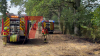 Flächenbrand breitet sich rasant aus – 1,5 Hektar Getreidefeld in Flammen - Feuer greift auf Baumfläche über - Wind entfacht schnell Großbrand, so Feuerwehr - NINA-Warnung wegen Rauch - Sichtbehinderungen durch Rauch - Luftbildaufnahmen zeigen Ausmaß des Brandes: 