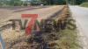 Flächenbrand breitet sich rasant aus – 1,5 Hektar Getreidefeld in Flammen - Feuer greift auf Baumfläche über - Wind entfacht schnell Großbrand, so Feuerwehr - NINA-Warnung wegen Rauch - Sichtbehinderungen durch Rauch - Luftbildaufnahmen zeigen Ausmaß des Brandes: 