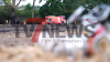 Flächenbrand breitet sich rasant aus – 1,5 Hektar Getreidefeld in Flammen - Feuer greift auf Baumfläche über - Wind entfacht schnell Großbrand, so Feuerwehr - NINA-Warnung wegen Rauch - Sichtbehinderungen durch Rauch - Luftbildaufnahmen zeigen Ausmaß des Brandes: 