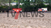Flächenbrand breitet sich rasant aus – 1,5 Hektar Getreidefeld in Flammen - Feuer greift auf Baumfläche über - Wind entfacht schnell Großbrand, so Feuerwehr - NINA-Warnung wegen Rauch - Sichtbehinderungen durch Rauch - Luftbildaufnahmen zeigen Ausmaß des Brandes: 