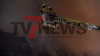 Wohnhaus in Vollbrand - rund 100 Feuerwehrkräfte im Großeinsatz - Binnen fünf Minuten in Vollbrand - Flammen erfassen Wohnhaus und Schuppen - Vollalarm für die Feuerwehr - Wohnhaus kurz nach Eintreffen der Feuerwehr in Vollbrand - Feuerwehr kämpft mit acht Rohren gegen die Flammen - Bevölkerung über NINA gewarnt: 