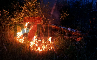 Der Waldbrand auf dem Munitionsbelasteten Gebiet im Bereich Felgentreu ist weiterhin nicht gelöscht. Die Flammen fressen sich in der Nacht weiter vor - Ein Großaufgebot der Feuerwehr ist durchgehend im Einsatz: 