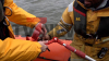 Havarie im Hamburger Hafen: 80 Meter langes Frachtschiff sinkt - Großeinsatz der Feuerwehr in Wilhelmsburg: Am Kalikai ist ein Binnenschiff gesunken - Der Frachter hatte Kaliumchlorid geladen- etwa 40 Retter im Hafen im Einsatz - : Exclusiv: Wir begleiten Greenpeace auf einem Schlauchboot und liefern Bilder vom Schiff!