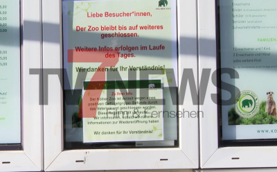 Kölner Zoo vorerst geschlossen - Vogelgrippe ausgebrochen - Tierliebhaber müssen warten: 